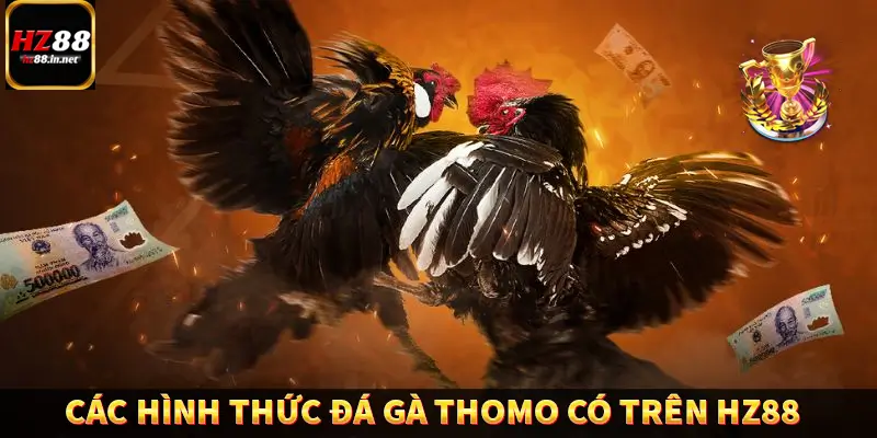 Các hình thức đá gà Thomo có trên HZ88