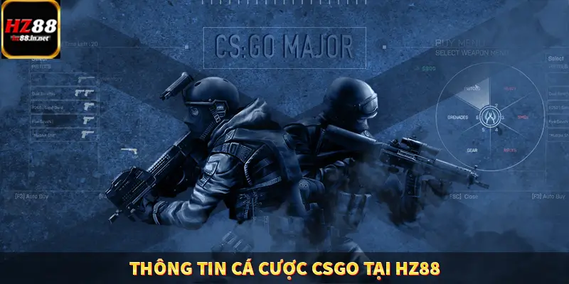 Thông tin cá cược CSGO tại HZ88