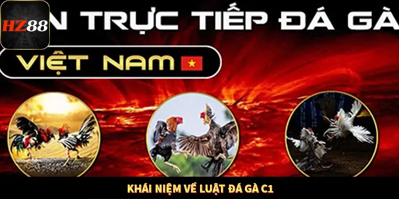 Khái niệm về luật đá gà C1