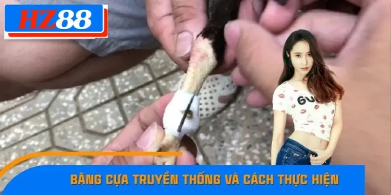 Băng Cựa Truyền Thống Và Cách Thực Hiện Tại 789F