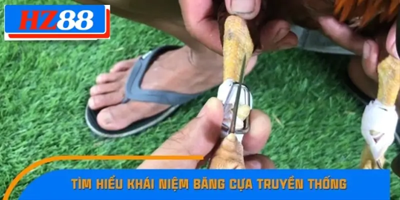 Tìm hiểu khái niệm băng cựa truyền thống