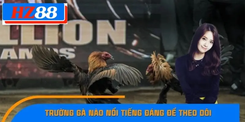 Trường Gà Nào Nổi Tiếng Đáng Để Theo Dõi Tại HZ88